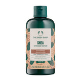 Shea Intense Repair Shampoo